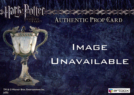 P7 - Stadium Banners - Back
