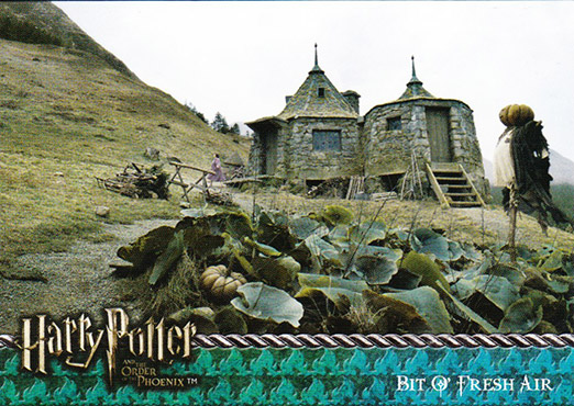 143 - F.jpg