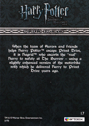 17 - R.jpg