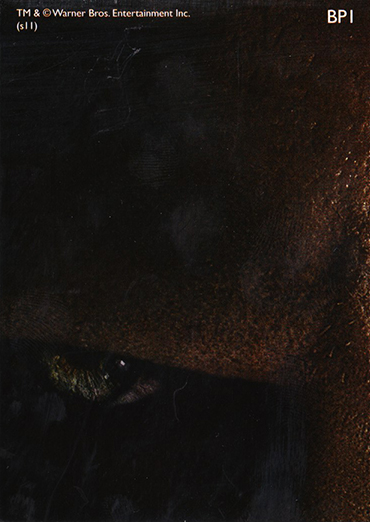 BP1 - R.jpg