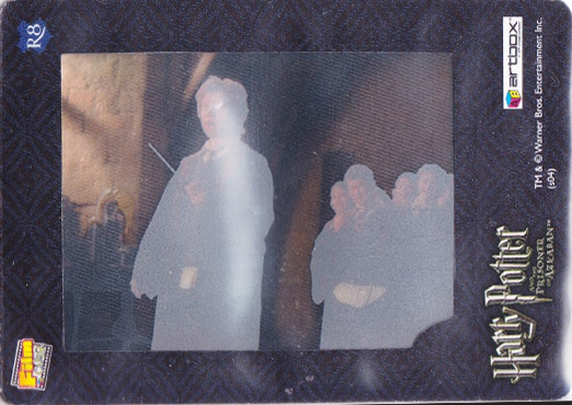 R8 - R.jpg